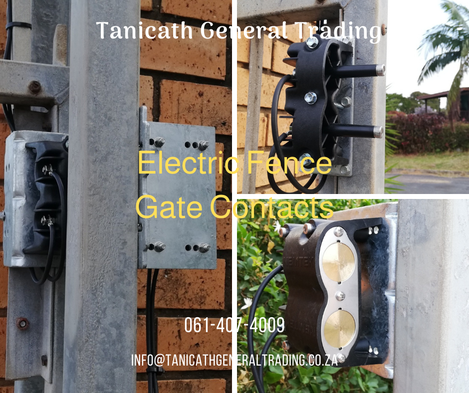 Tanicath_EF_GC_Sept